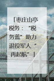 枣庄山亭税务：“税务蓝”助力退役军人“再起航”
