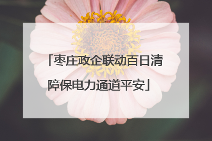枣庄政企联动百日清障保电力通道平安