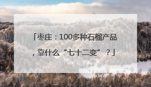 枣庄：100多种石榴产品，靠什么“七十二变”？