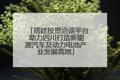 搭建投资洽谈平台 助力四川打造新能源汽车及动力电池产业发展高地