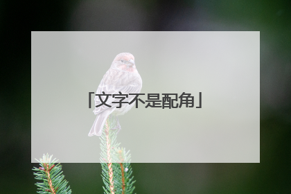 文字不是配角