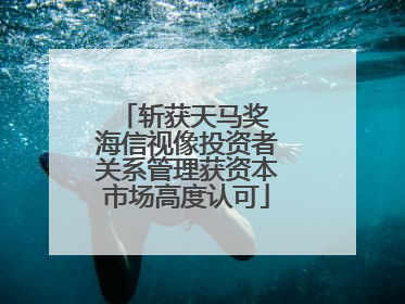 斩获天马奖 海信视像投资者关系管理获资本市场高度认可