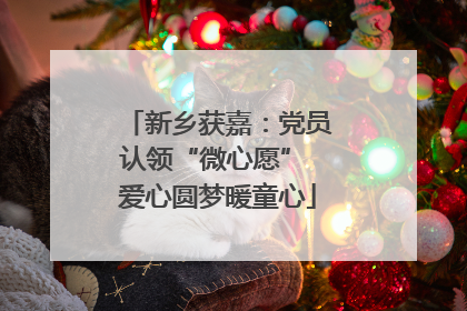 新乡获嘉：党员认领“微心愿” 爱心圆梦暖童心