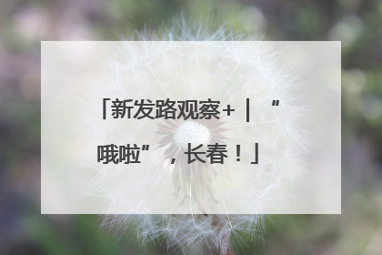 新发路观察+｜“哦啦”，长春！