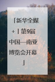新华全媒+丨第9届中国—南亚博览会开幕