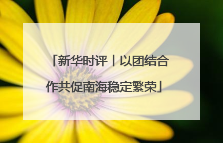 新华时评丨以团结合作共促南海稳定繁荣