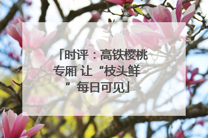 时评：高铁樱桃专厢 让“枝头鲜”每日可见