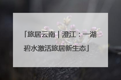 旅居云南｜澄江：一湖碧水激活旅居新生态