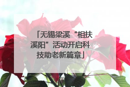 无锡梁溪“相扶溪阳”活动开启科技助老新篇章