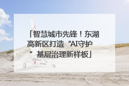 智慧城市先锋！东湖高新区打造“AI守护”基层治理新样板