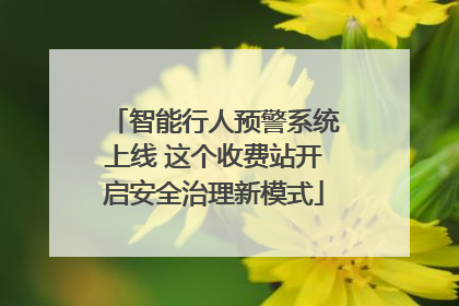 智能行人预警系统上线 这个收费站开启安全治理新模式
