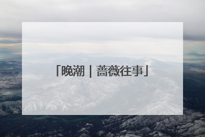 晚潮｜蔷薇往事