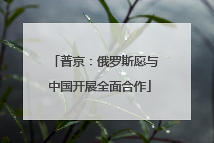 普京：俄罗斯愿与中国开展全面合作