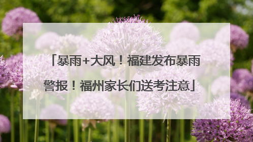 暴雨+大风!福建发布暴雨警报!福州家长们送考注意