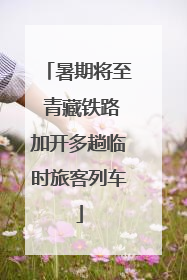 暑期将至 青藏铁路加开多趟临时旅客列车