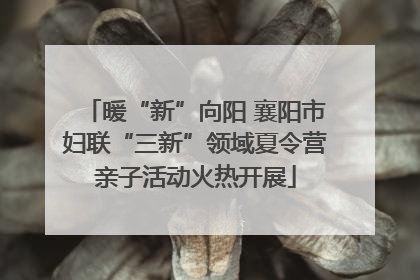 暖“新”向阳 襄阳市妇联“三新”领域夏令营亲子活动火热开展