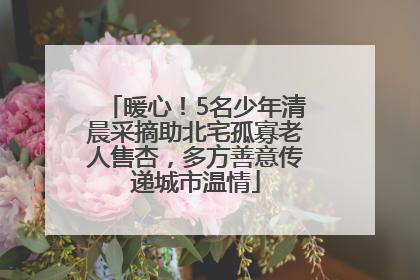 暖心！5名少年清晨采摘助北宅孤寡老人售杏，多方善意传递城市温情