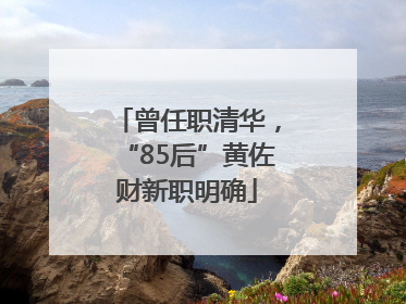 曾任职清华，“85后”黄佐财新职明确