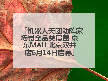 机器人天团助阵家场景全品类覆盖 京东MALL北京双井店6月14日启幕
