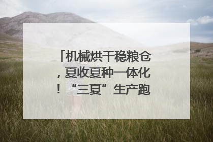 机械烘干稳粮仓，夏收夏种一体化！“三夏”生产跑出加速度｜麦报