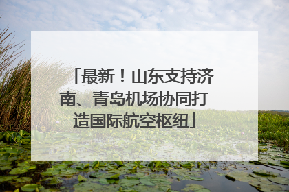 最新！山东支持济南、青岛机场协同打造国际航空枢纽