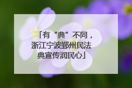 有“典”不同，浙江宁波鄞州民法典宣传润民心