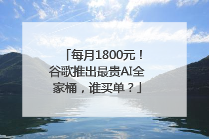 每月1800元！谷歌推出最贵AI全家桶，谁买单？