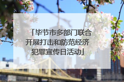 毕节市多部门联合开展打击和防范经济犯罪宣传日活动