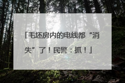 毛坯房内的电线都“消失”了！民警：抓！