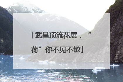 武昌顶流花展，“荷”你不见不散