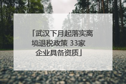 武汉下月起落实离境退税政策 33家企业具备资质