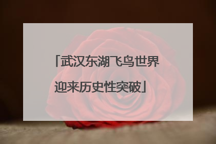 武汉东湖飞鸟世界迎来历史性突破