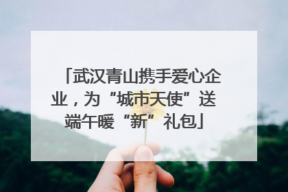 武汉青山携手爱心企业，为“城市天使”送端午暖“新”礼包