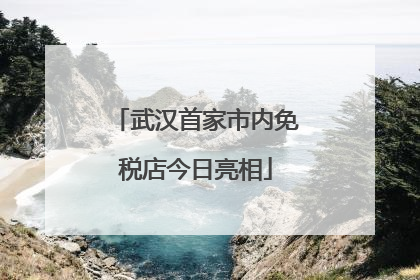 武汉首家市内免税店今日亮相