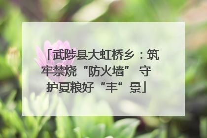 武陟县大虹桥乡：筑牢禁烧“防火墙” 守护夏粮好“丰”景