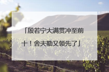 殷若宁大满贯冲至前十！舍夫勒又领先了
