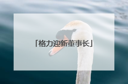 格力迎新董事长