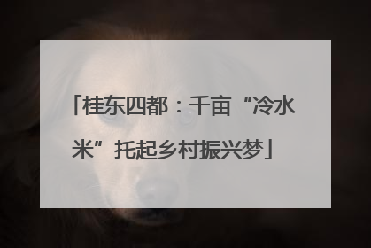 桂东四都：千亩“冷水米”托起乡村振兴梦