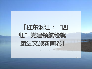 桂东沤江：“四红”党建领航绘就康氧文旅新画卷