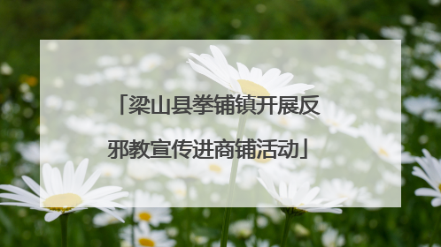 梁山县拳铺镇开展反邪教宣传进商铺活动