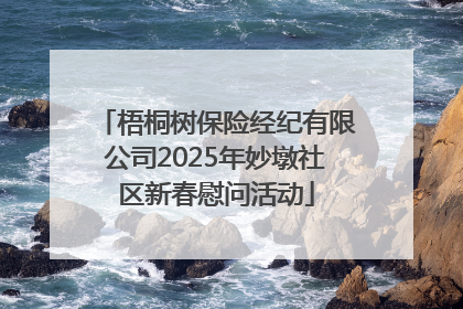 梧桐树保险经纪有限公司2025年妙墩社区新春慰问活动