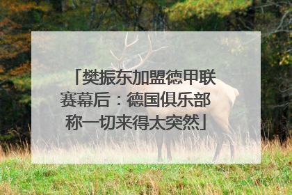 樊振东加盟德甲联赛幕后：德国俱乐部称一切来得太突然