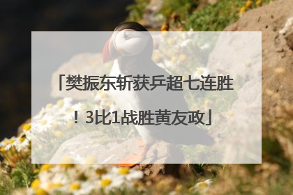 樊振东斩获乒超七连胜！3比1战胜黄友政