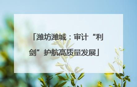 潍坊潍城：审计“利剑”护航高质量发展
