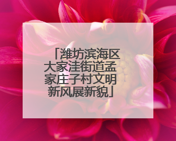 潍坊滨海区大家洼街道孟家庄子村文明新风展新貌