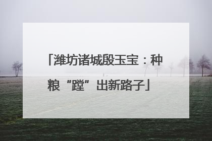 潍坊诸城殷玉宝：种粮“蹚”出新路子