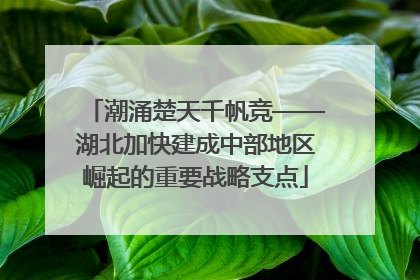 潮涌楚天千帆竞——湖北加快建成中部地区崛起的重要战略支点