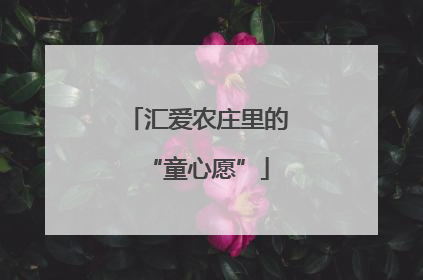 汇爱农庄里的“童心愿”