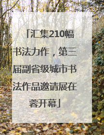汇集210幅书法力作，第三届副省级城市书法作品邀请展在蓉开幕