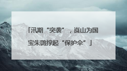 汛期“突袭”，崀山为国宝朱鹮撑起“保护伞”